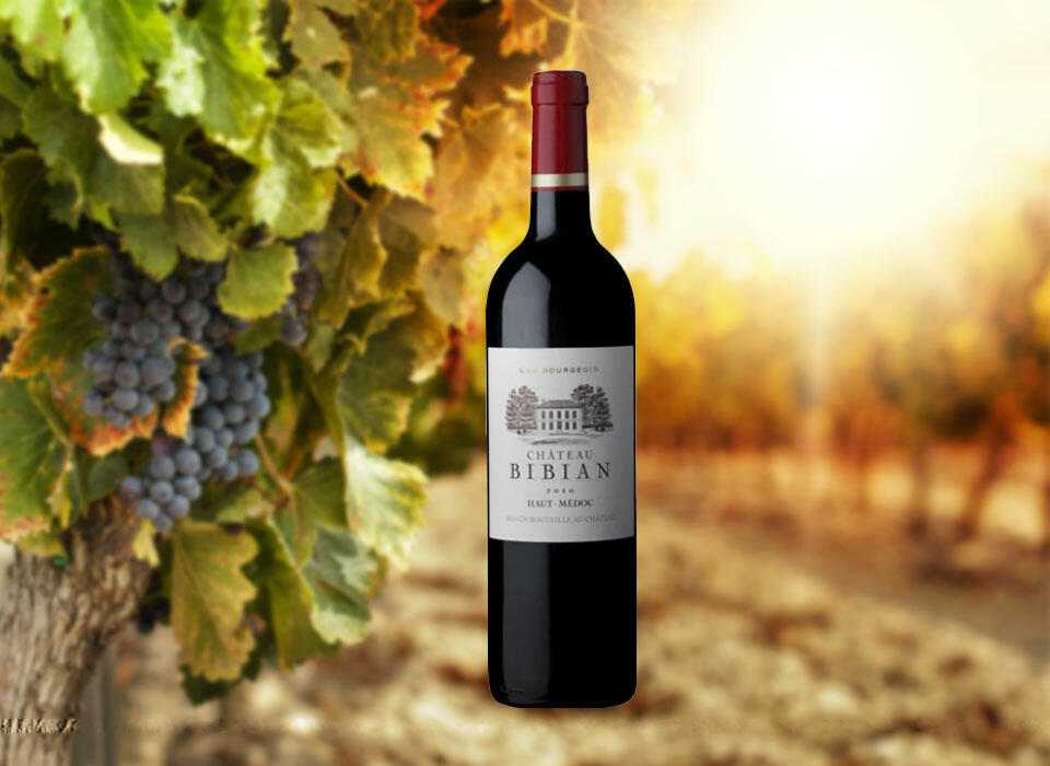 Château Bibian Cover Image