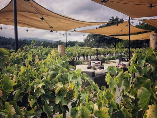 Benessere Vineyards Image