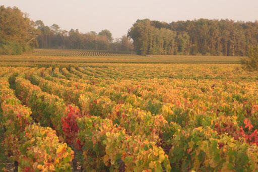 Château La Fon du Berger Image