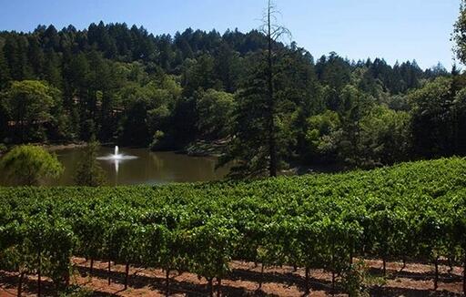 Sherwin Family Vineyards Image