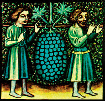 Kongsgaard Albariño Bottle Preview