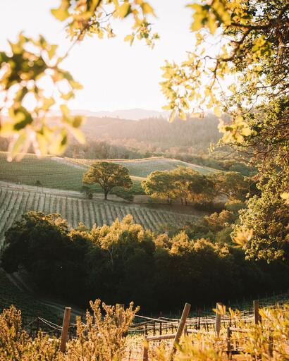 Grounded Wine Co. Image