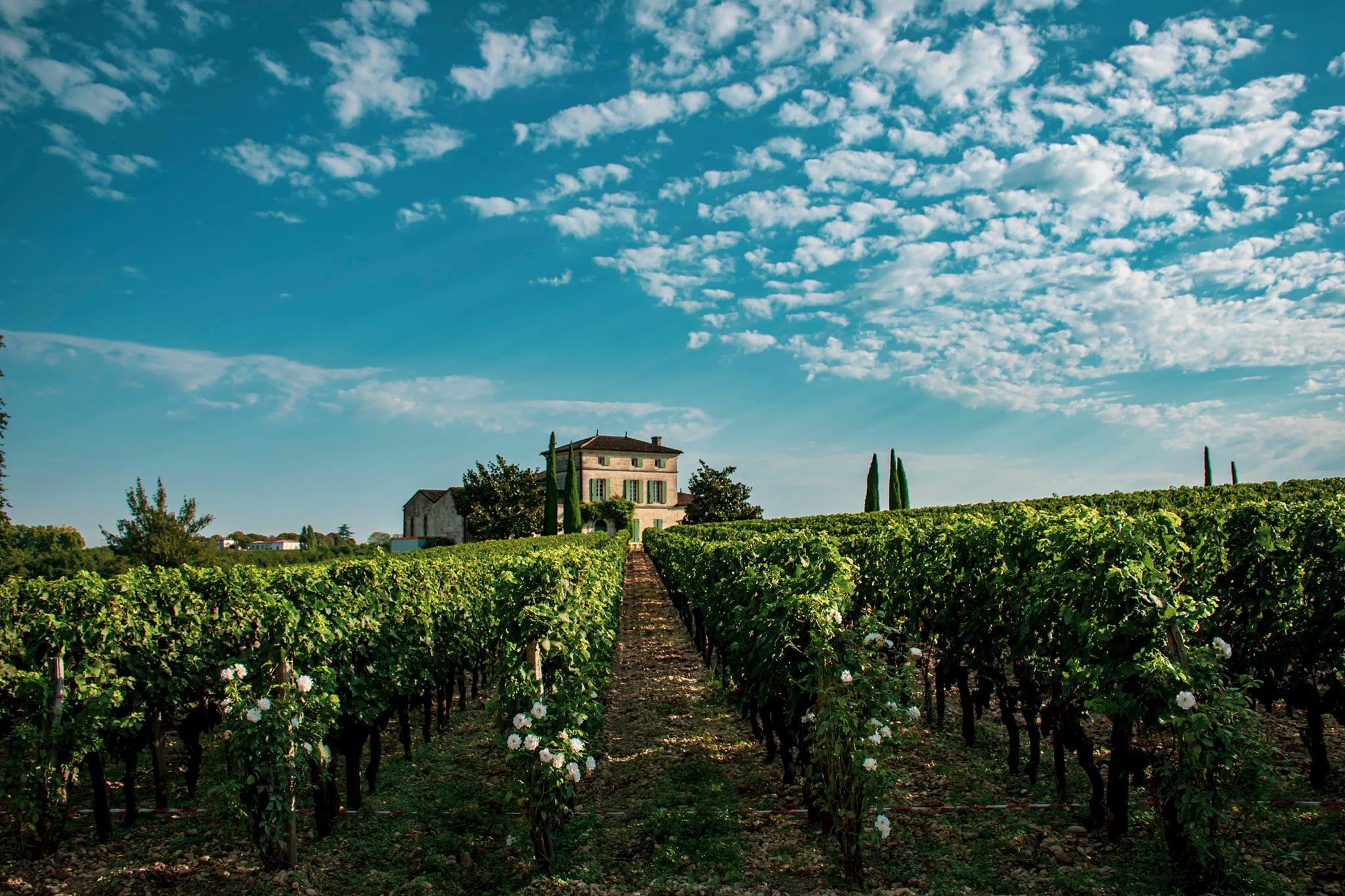 Château Lafleur Cover Image