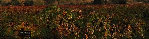 Teaderman Vineyards Image