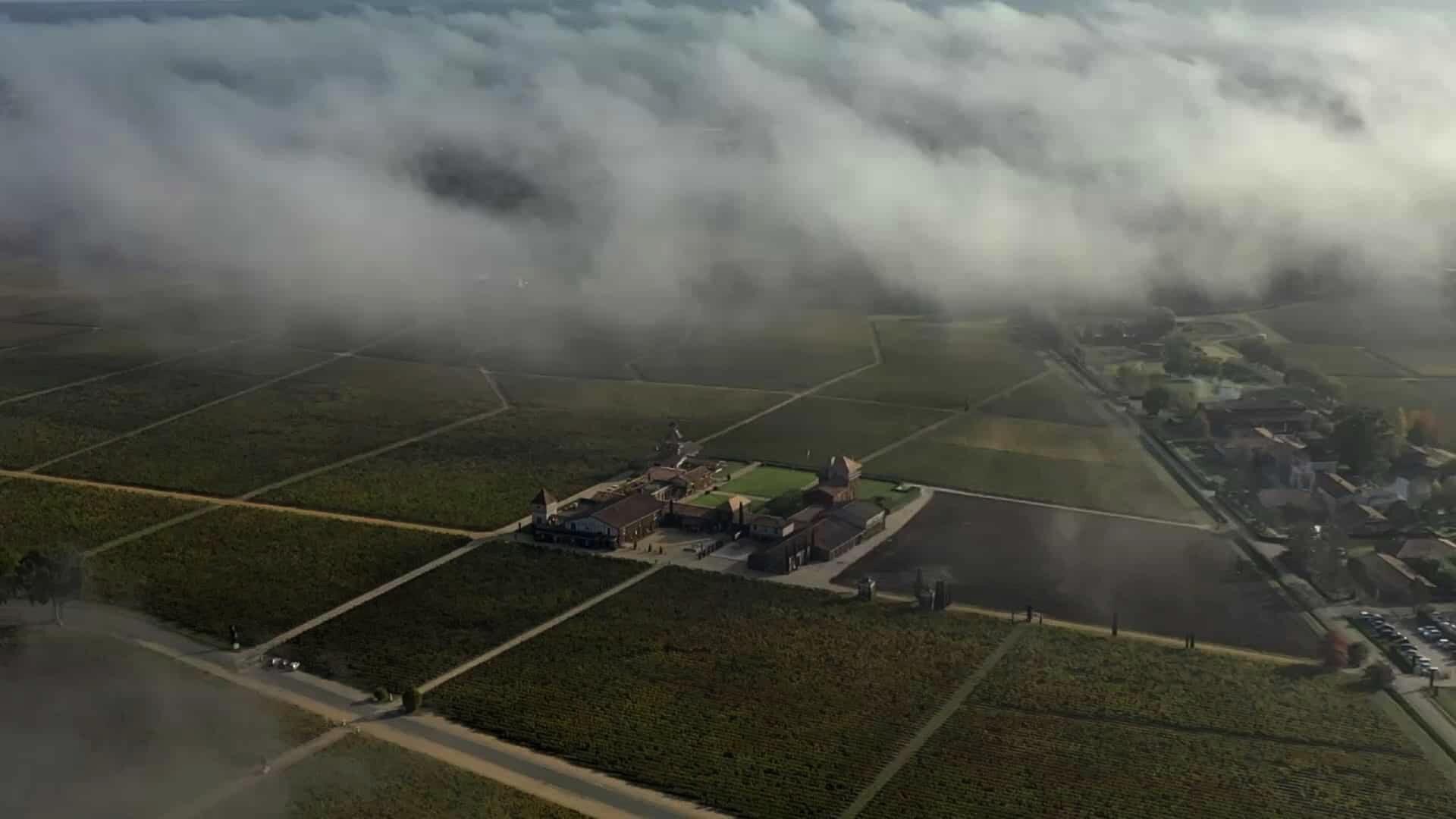 Château Smith Haut Lafitte Cover Image