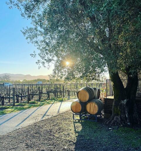 Grand Napa Vineyards Image