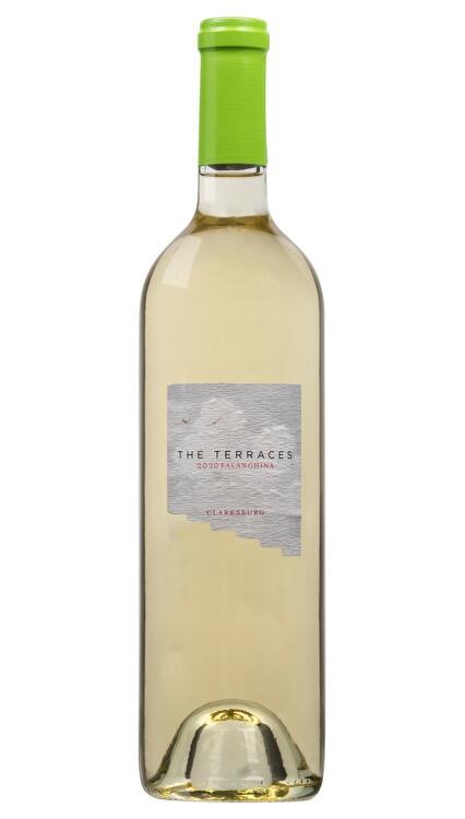 The Terraces Falanghina Bottle Preview