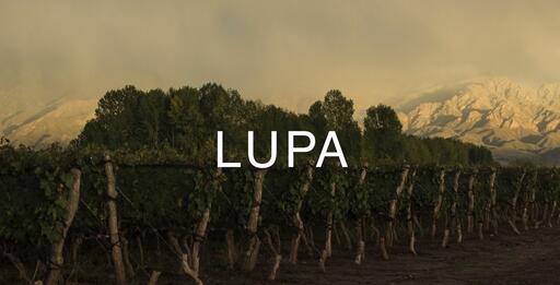 Lupa Wines Image