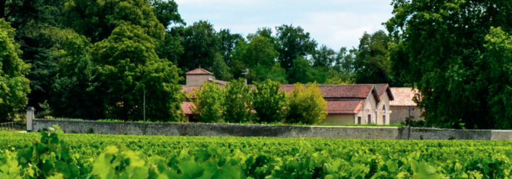 Château Sénilhac Image