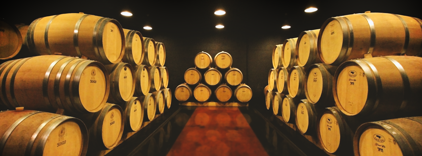 Bodega Carelli Cover Image
