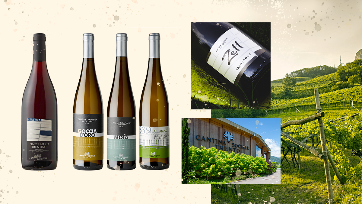 Cantina Sociale di Trento Cover Image