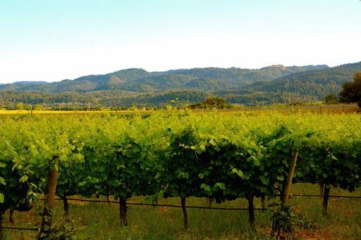 Dutch Henry Winery Image