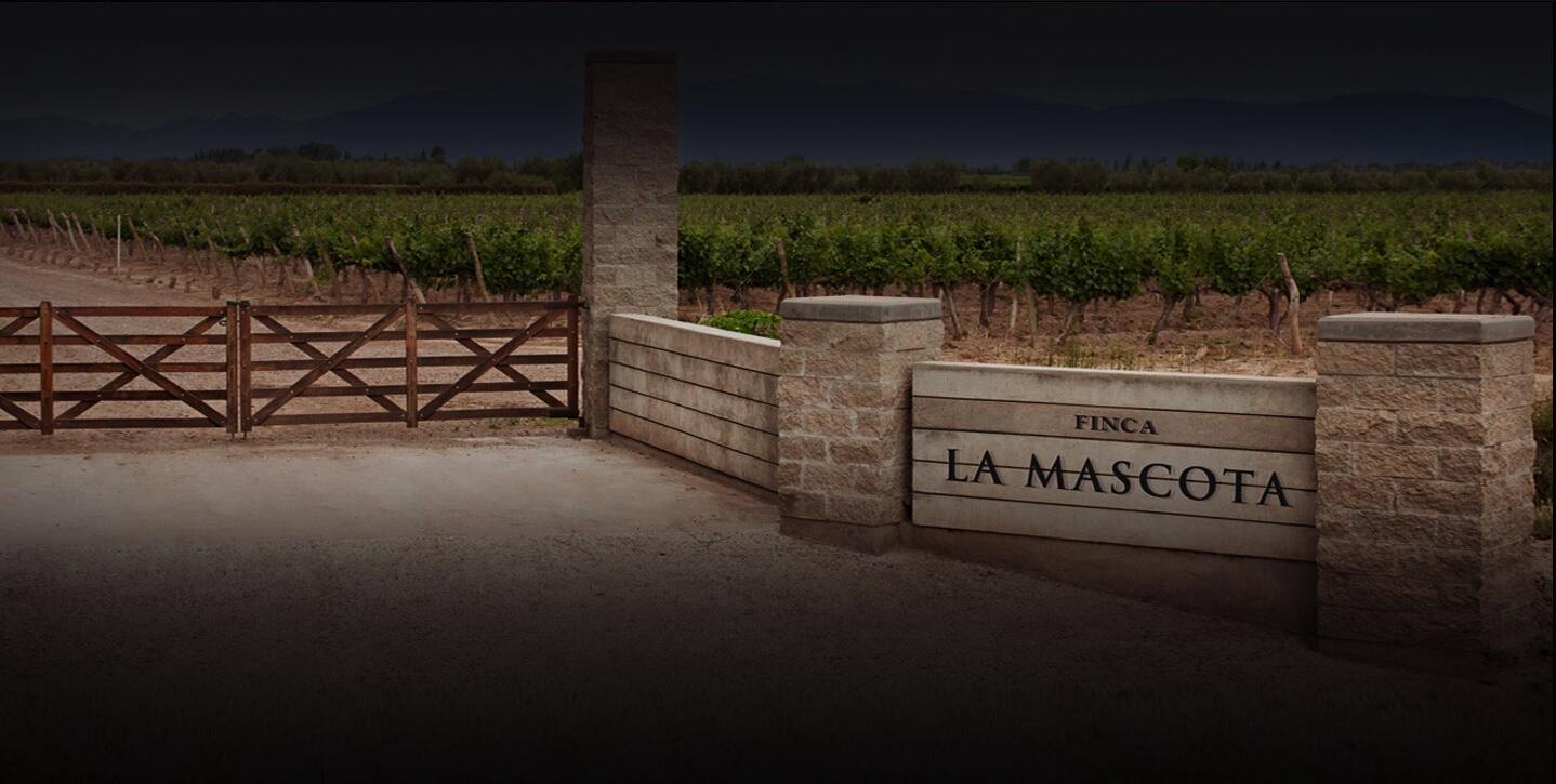 Mascota Vineyards Cover Image