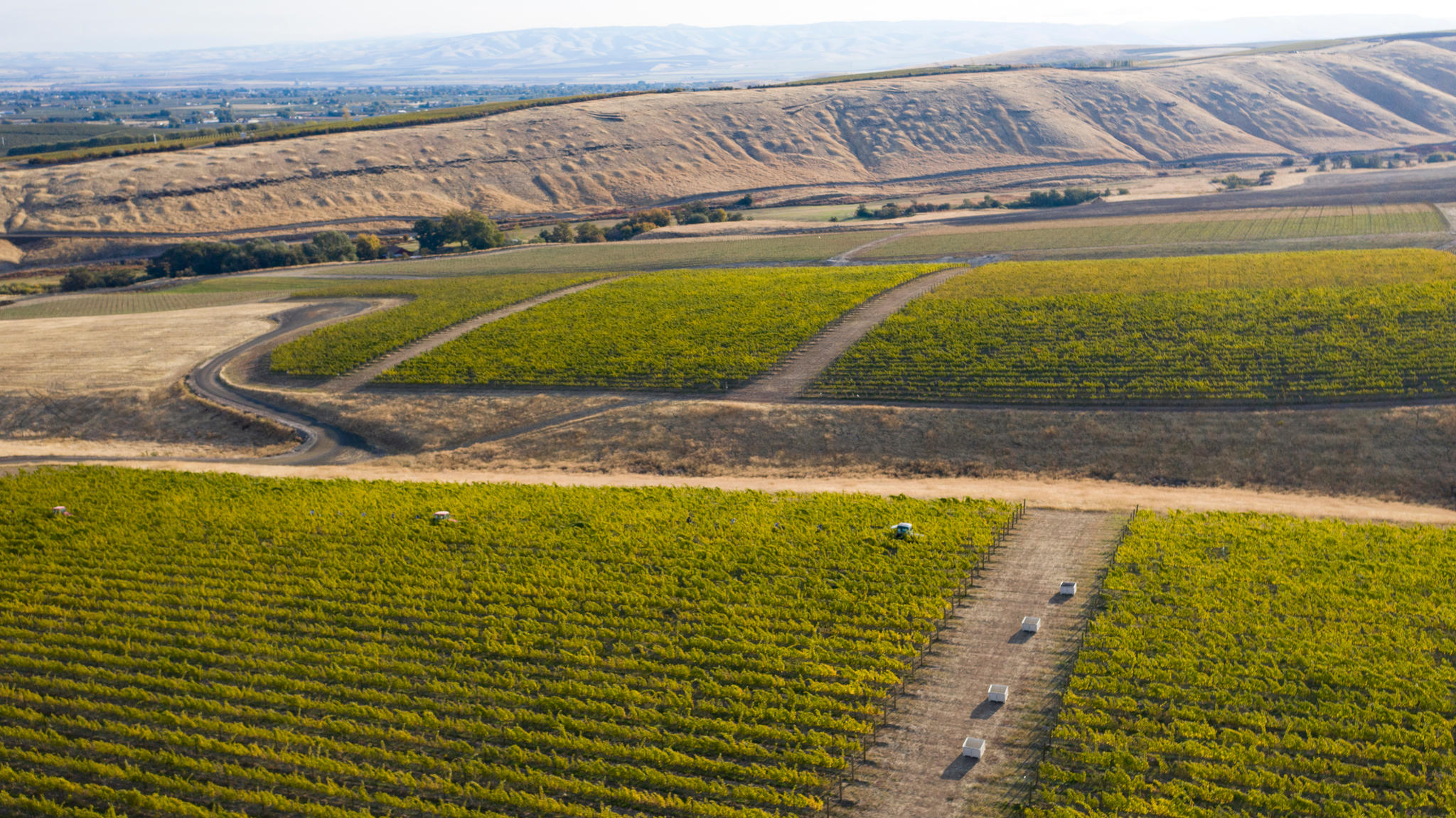 Pambrun Wines Cover Image
