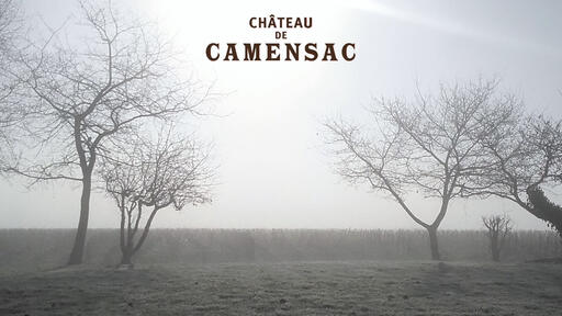 Château de Camensac Image