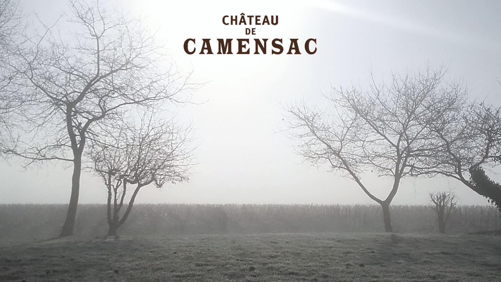 Château de Camensac Cover Image
