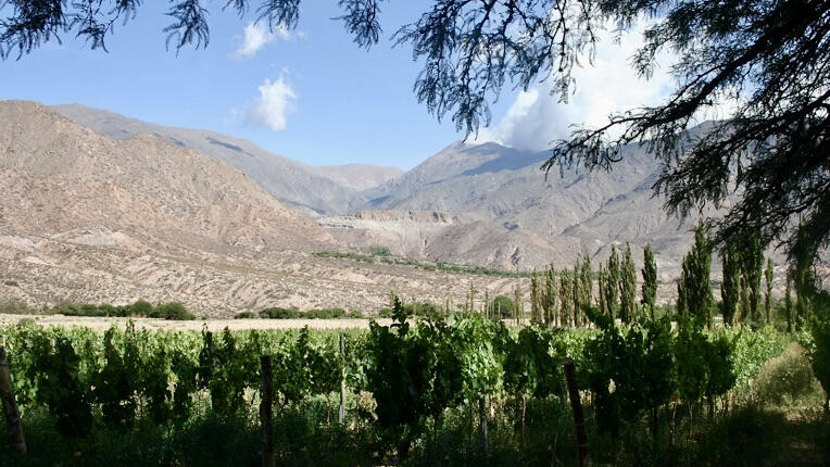 Finca La Manda Cover Image