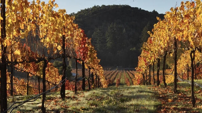 Lawer Estates Cover Image