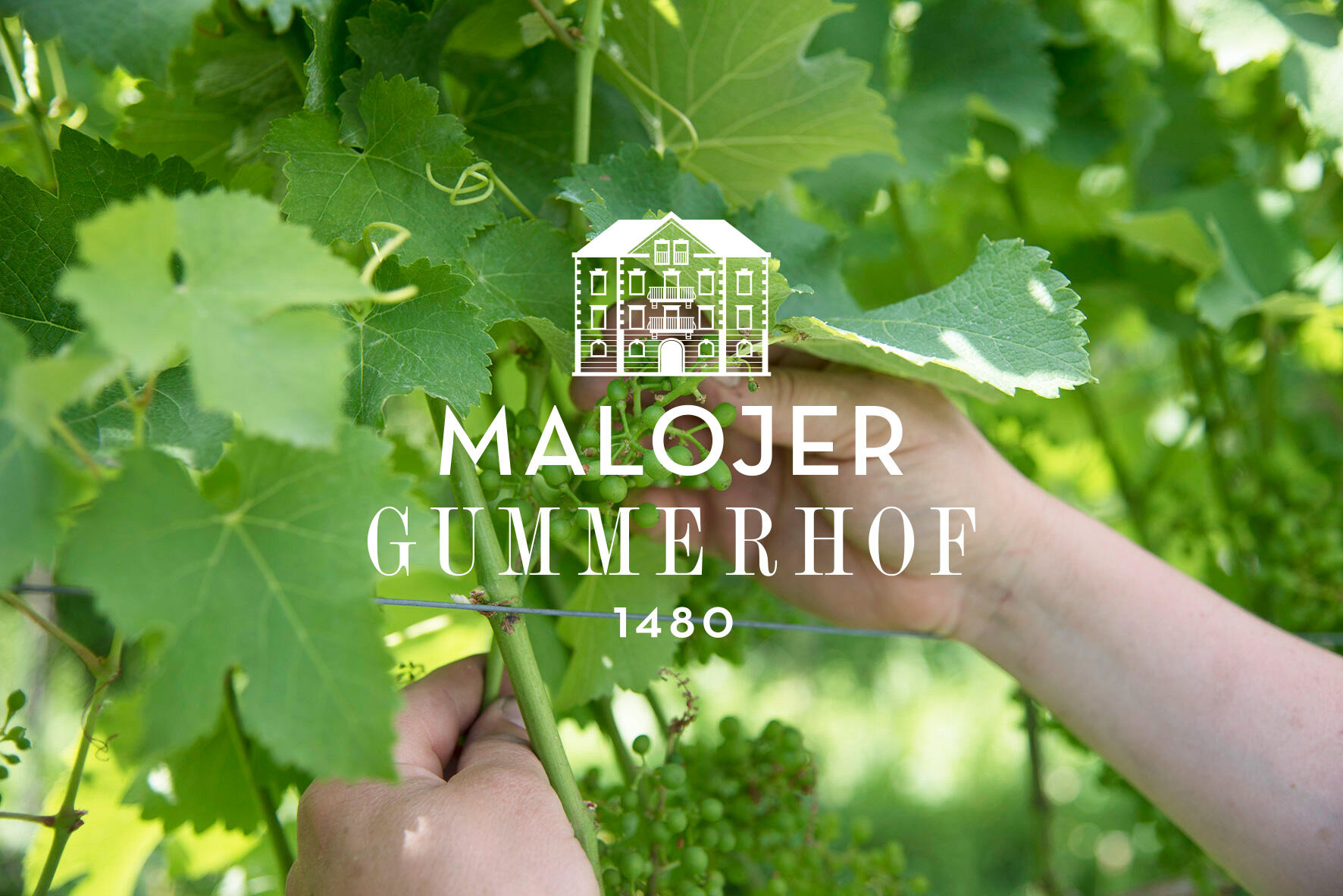 Gummerhof Cover Image