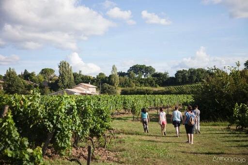 Château Boutinet Image