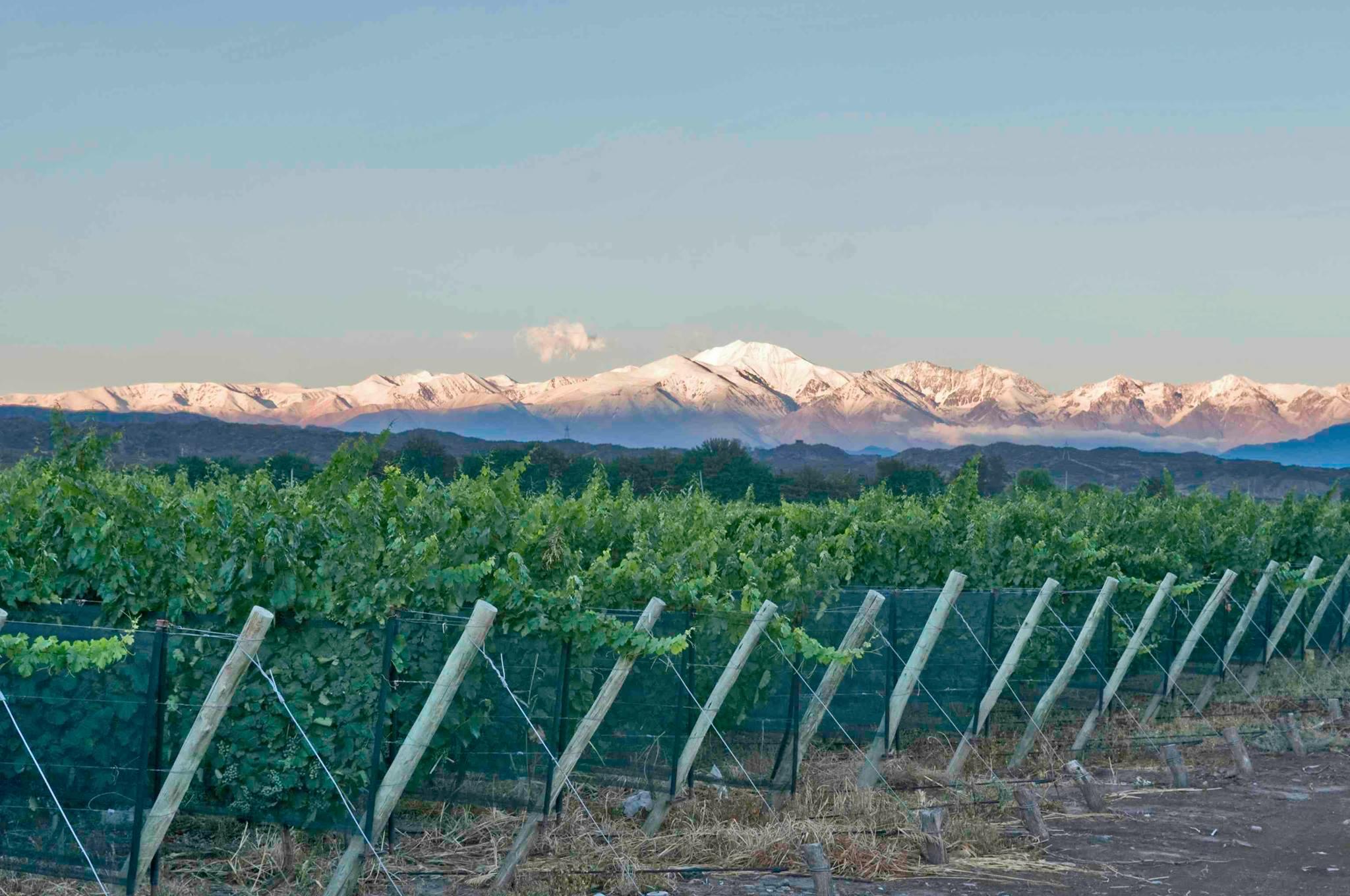Gauchezco Vineyard & Winery Cover Image