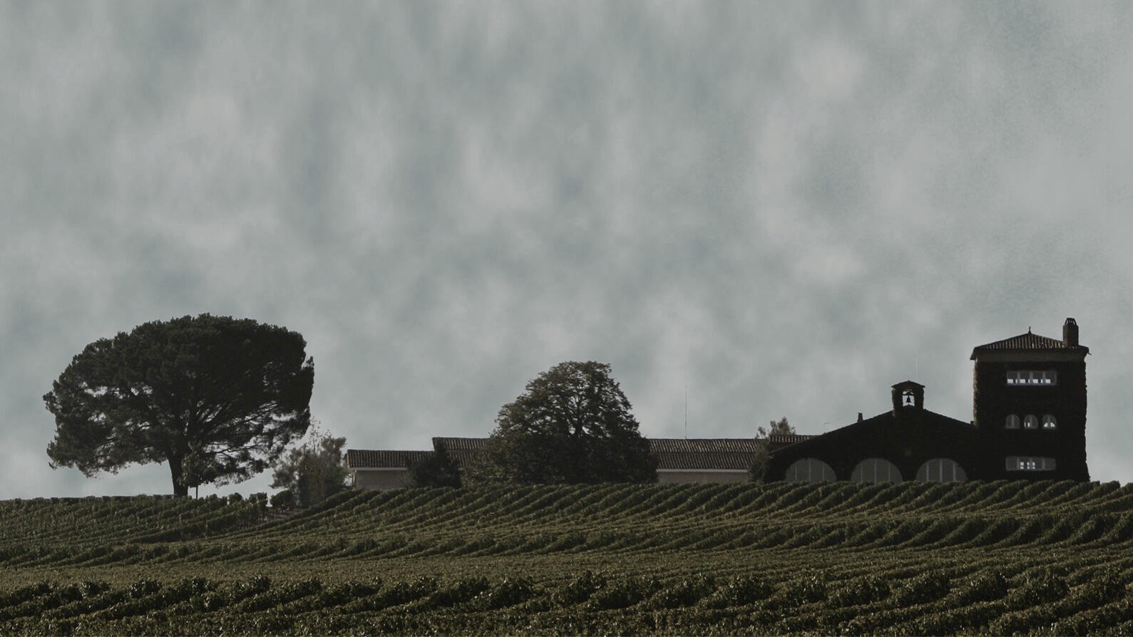Château Rieussec Cover Image
