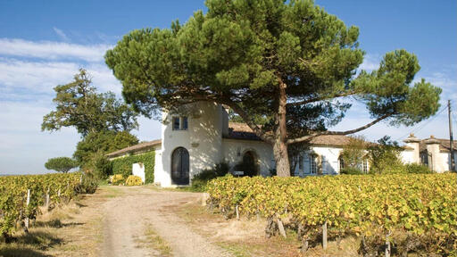 Château Lamothe - Despujols Image