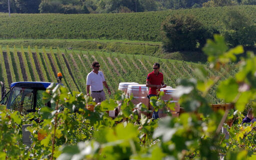 Château Résut Image