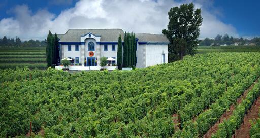 Lewis Cellars Image