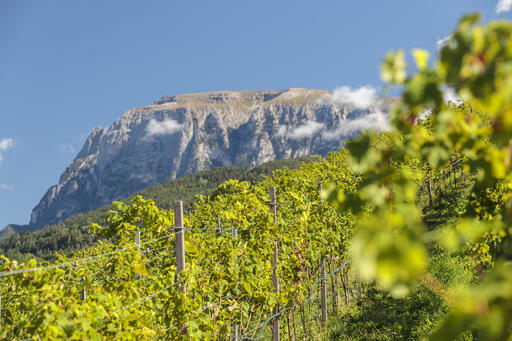 Hochklaus Image