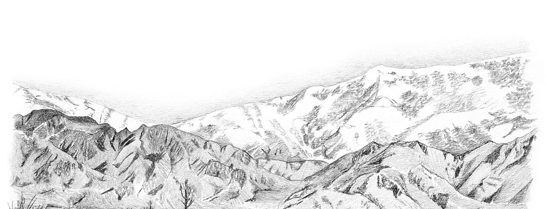 Finca Suarez Cover Image