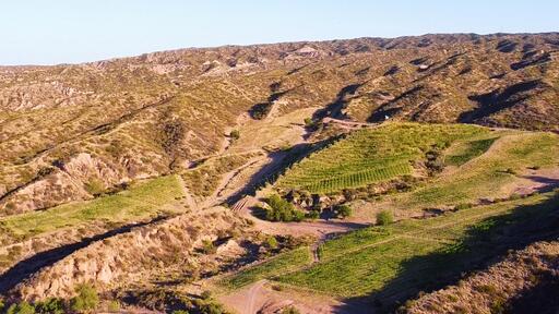 Amansado Wines Image