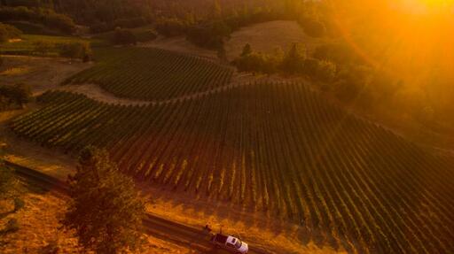 Fearless Wines Image