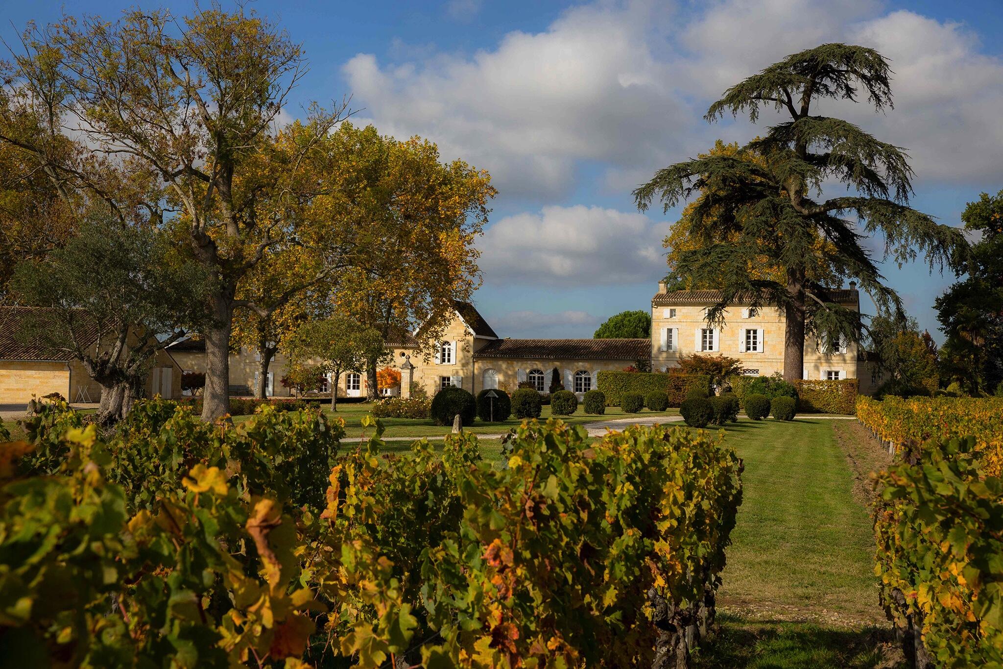 Château Jean Faure Cover Image