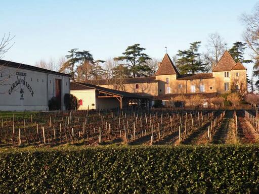 Château Carbonnieux Image