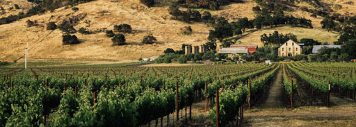 Regusci Winery Image