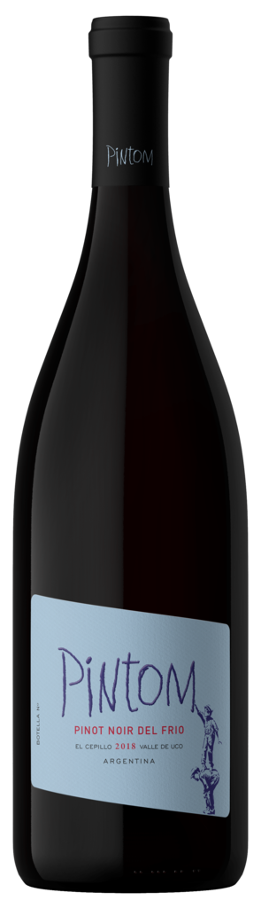 Canopus Pintom Bottle Preview
