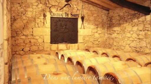 Château de Sarpe Image