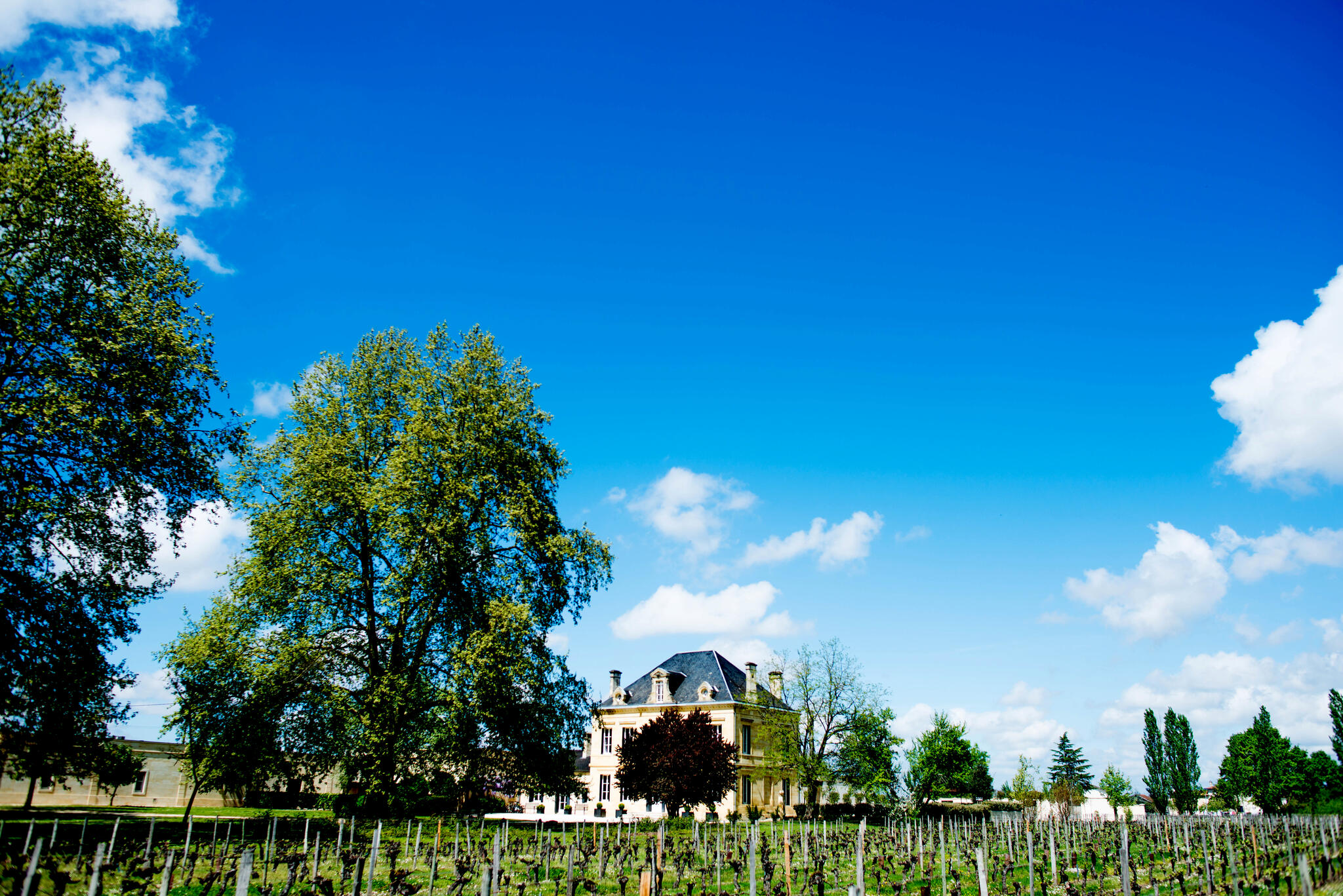 Château Teyssier Cover Image