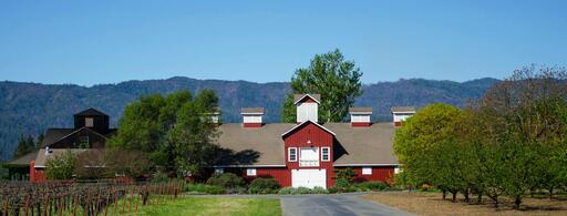 Frog's Leap Winery Image