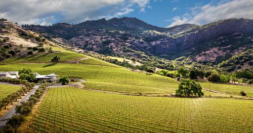 Shafer Vineyards Image