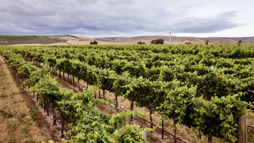Seven Hills Winery Image