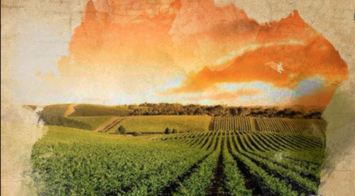 Bodega Viniterra Image