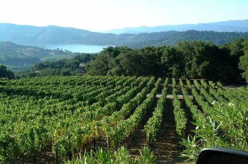 Parallel Napa Valley Image