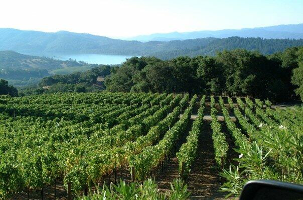 Parallel Napa Valley Cover Image