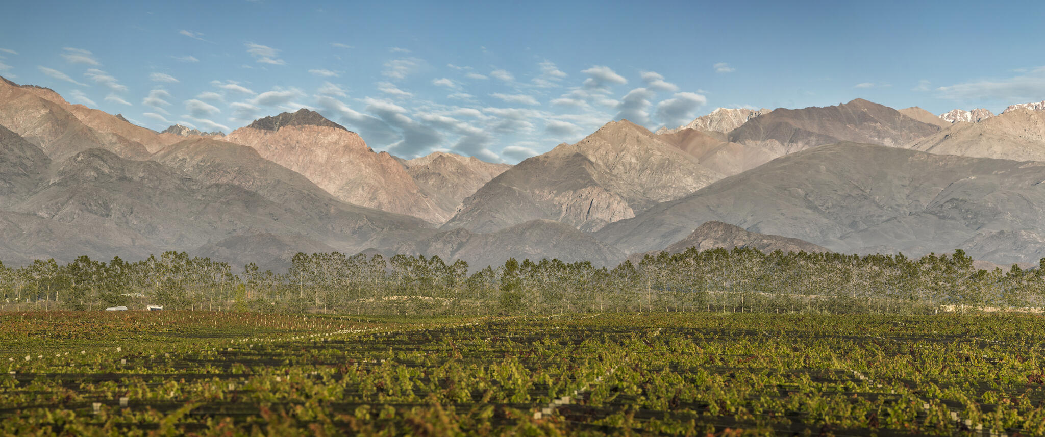 Terrazas de los Andes Cover Image