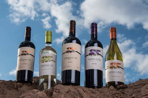Sposato Family Vineyards Image