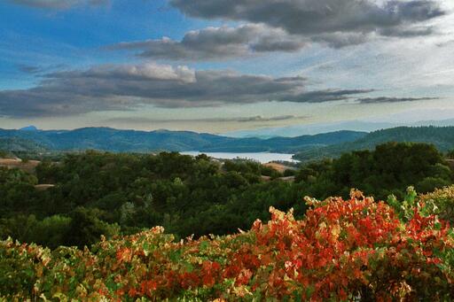 Amizetta Estate Winery Image