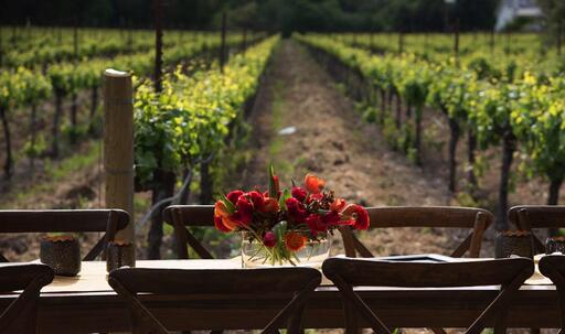 Luna Vineyards Image