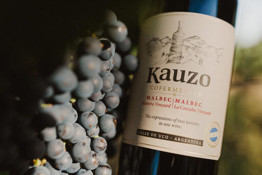Kauzo Image